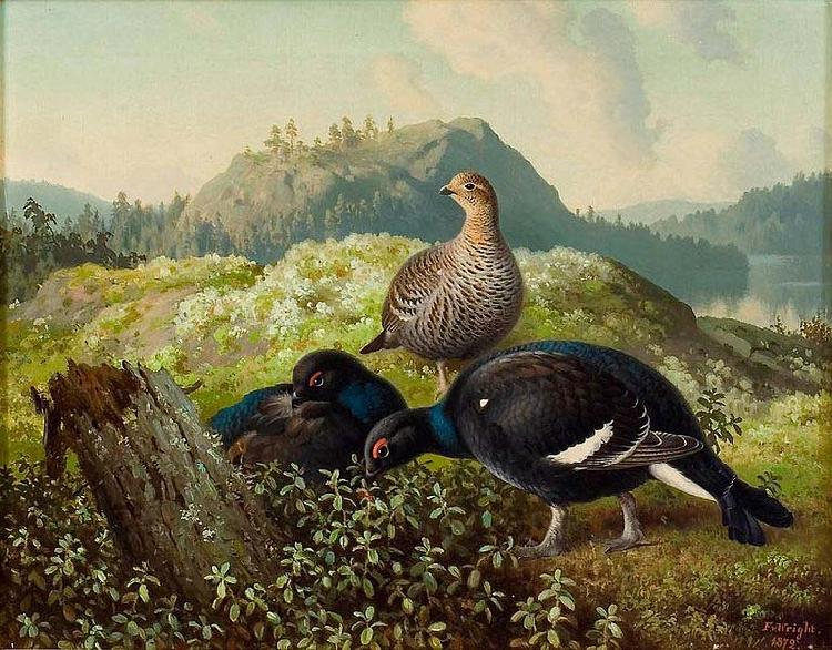 Ferdinand von Wright Black Grouses Sweden oil painting art